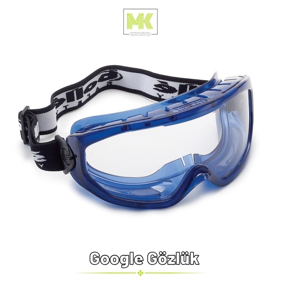 Google Gözlük